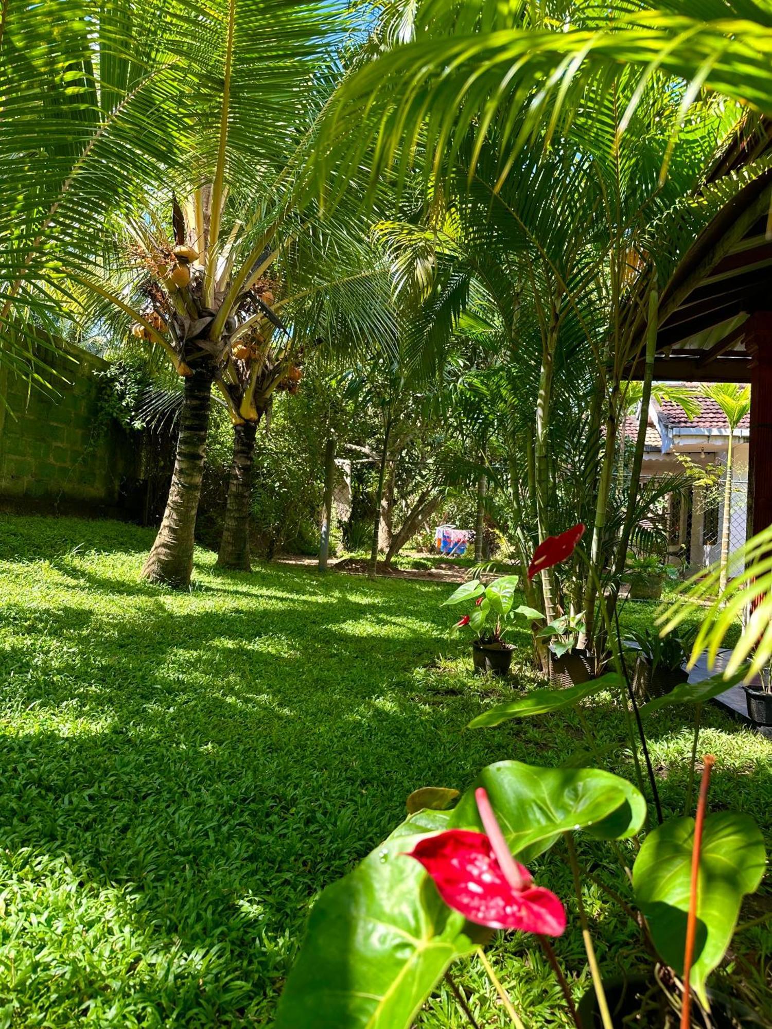 Jasmin Homestay Marakolliya Тангале Екстериор снимка