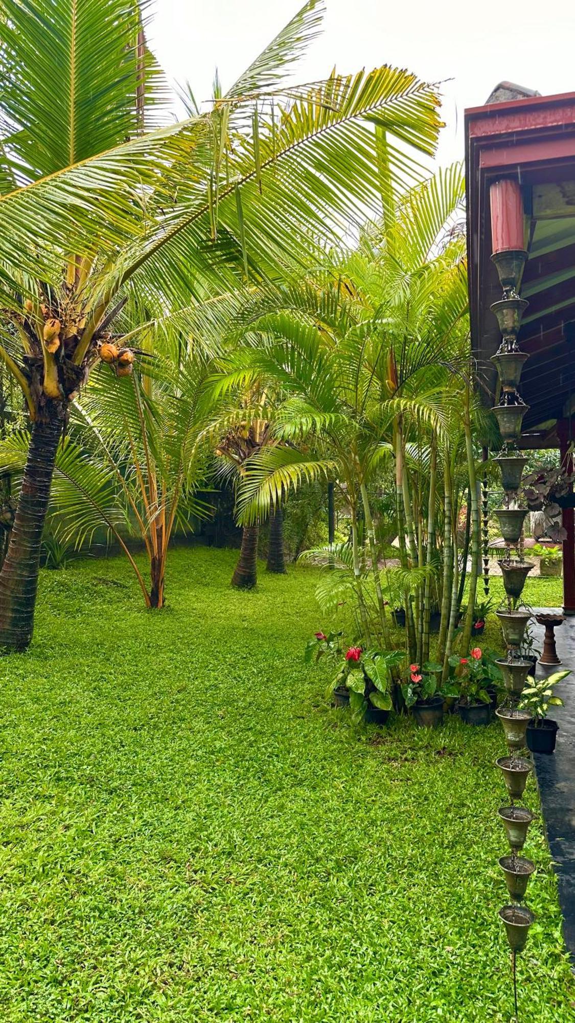 Jasmin Homestay Marakolliya Тангале Екстериор снимка