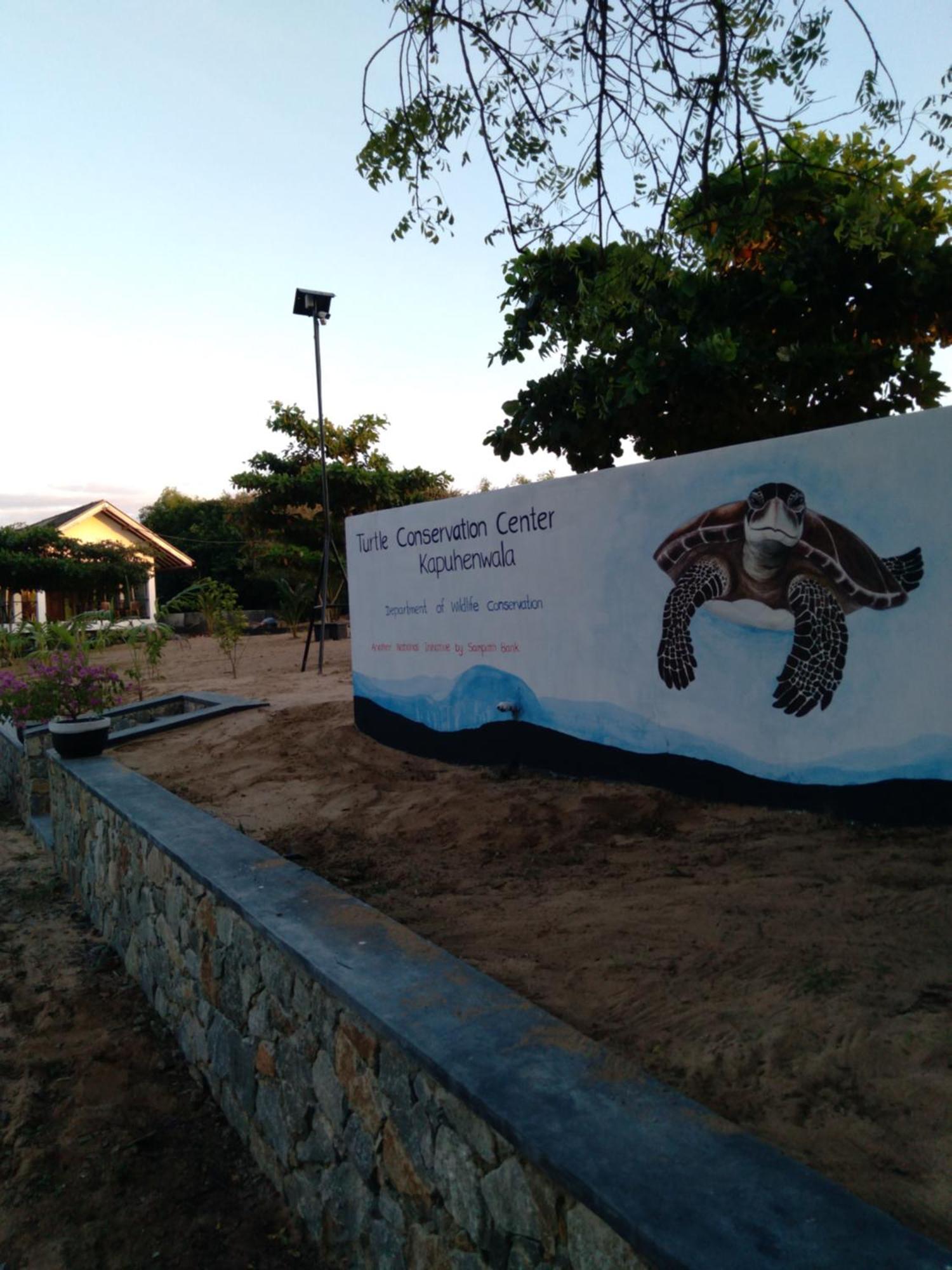 Jasmin Homestay Marakolliya Тангале Екстериор снимка